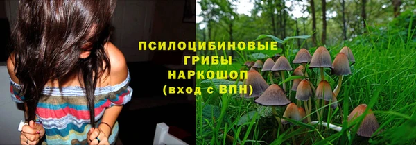 хмурый Балабаново